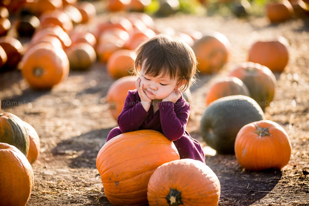 Cal Poly Pomona Pumpkin Patch